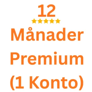 12 months Premium (1 account)